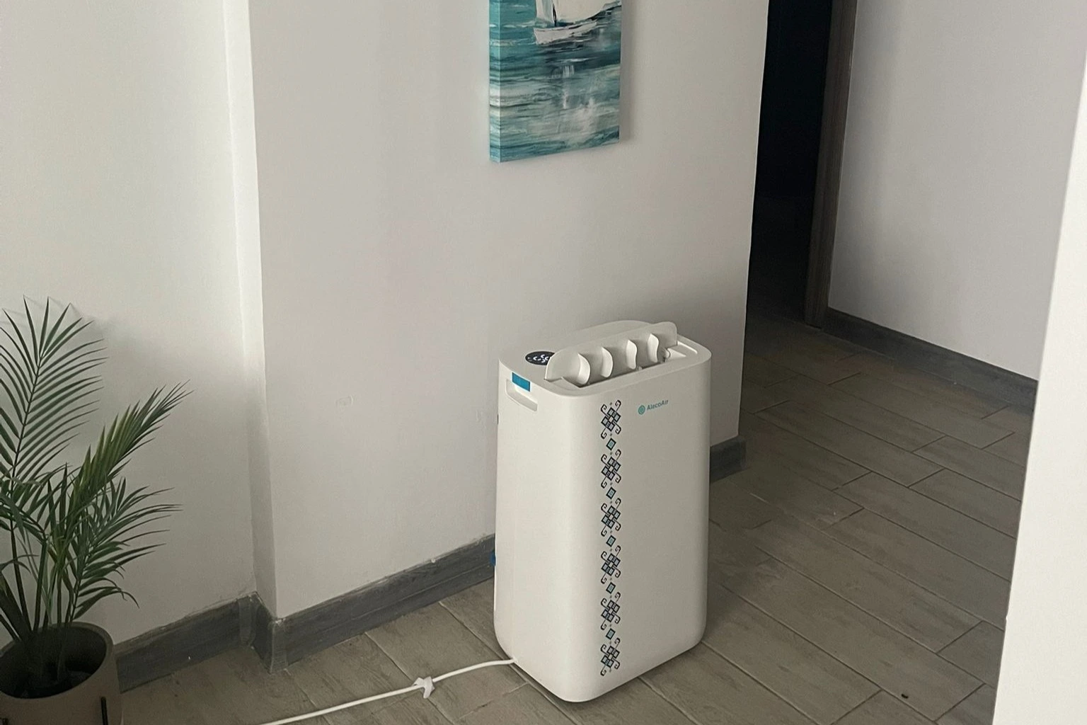 Dezumidificator amplasat corect într-o cameră, la 20–30 cm de perete pentru flux de aer