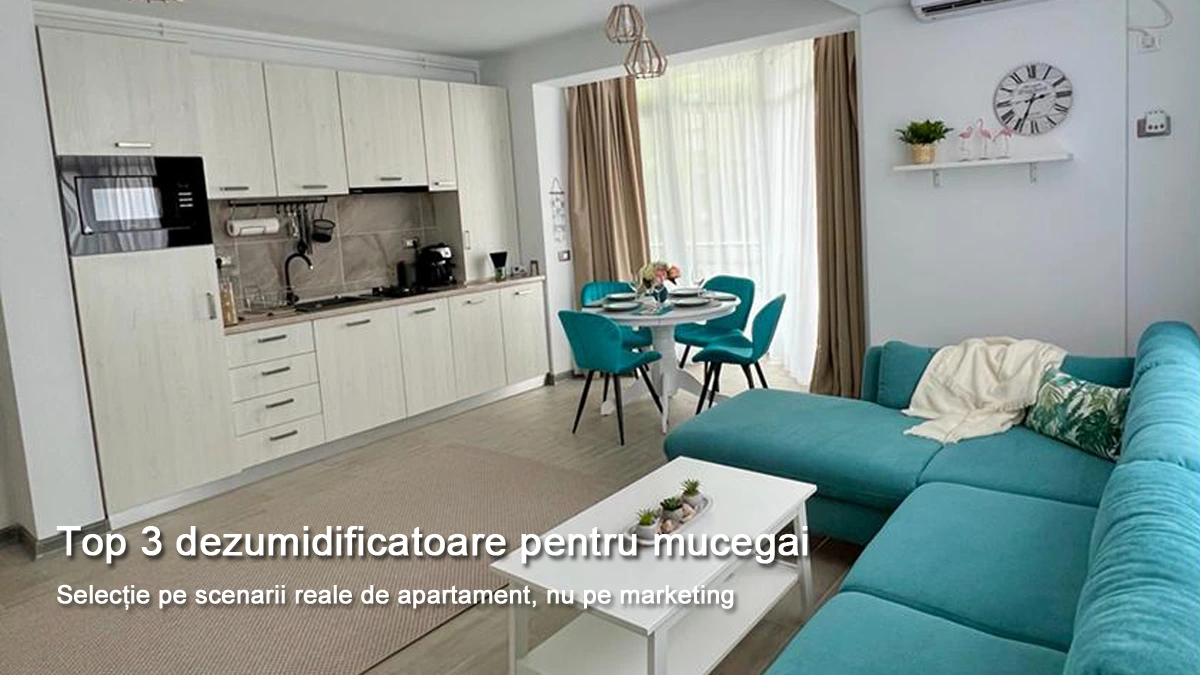 Apartament open space cu pereți exteriori și ferestre mari – context tipic pentru probleme de umiditate și condens